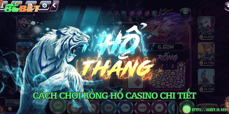 Rồng hổ casino là gì? Cách chơi và tỷ lệ trả thưởng Cách chơi rồng hổ casino chi tiết