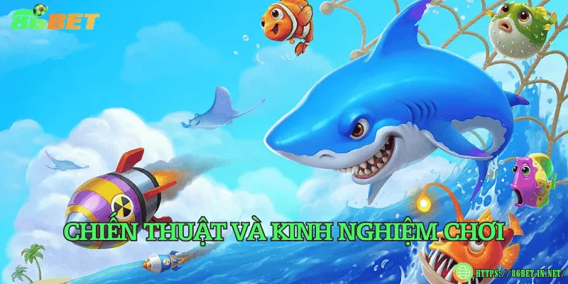 Chiến thuật và kinh nghiệm chơi