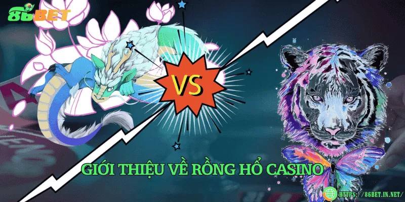 Rồng hổ casino là gì? Cách chơi và tỷ lệ trả thưởng Giới thiệu về rồng hổ casino