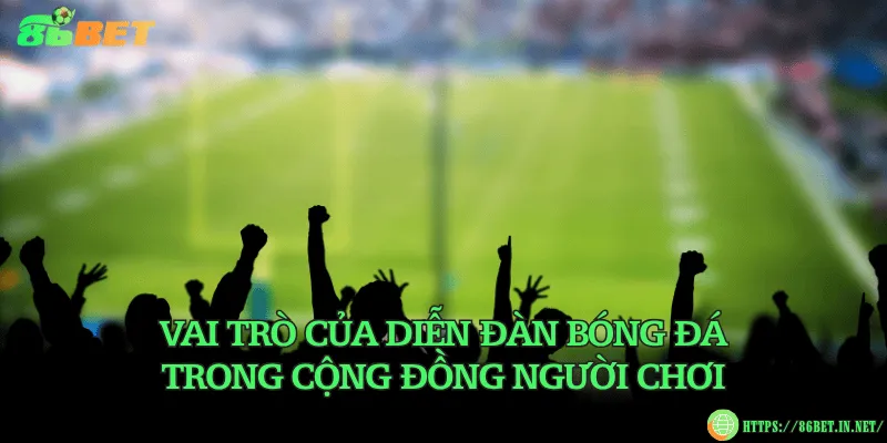 Các diễn đàn bóng đá uy tín – Nơi chia sẻ kinh nghiệm soi kèo Vai trò của diễn đàn bóng đá trong cộng đồng người chơi