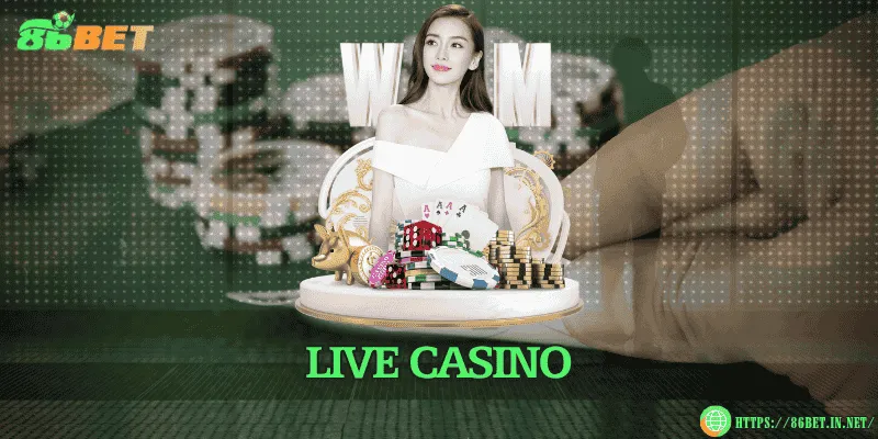 86BET 🎖️ Trang Chính Thức 86BET.COM ✔️ +86K Quà Ưu Đãi Live casino chân thực, dealer xinh đẹp, hình ảnh HD rõ nét